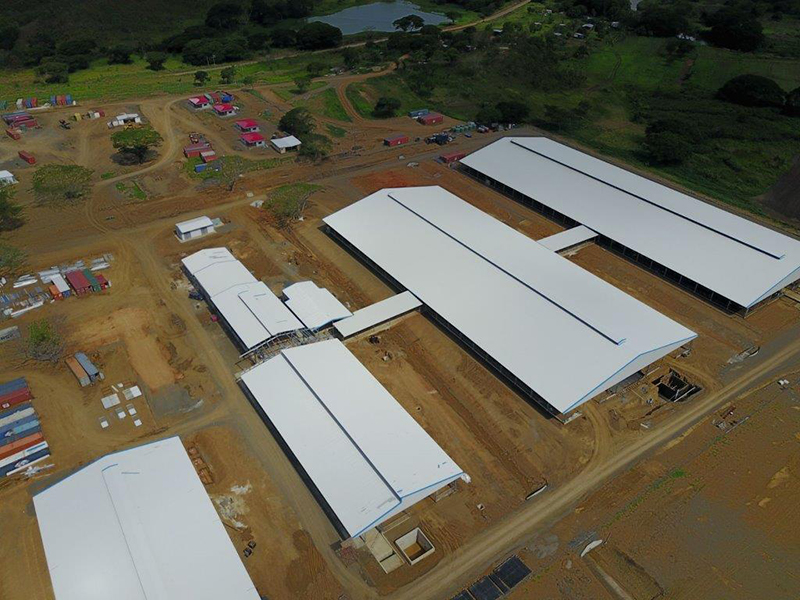 Livestock Farming House chicken Farm Poultry Building