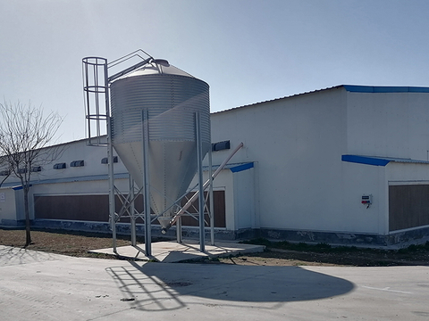 Prefabricated High Quality Livestock Farming House Poultry Farm