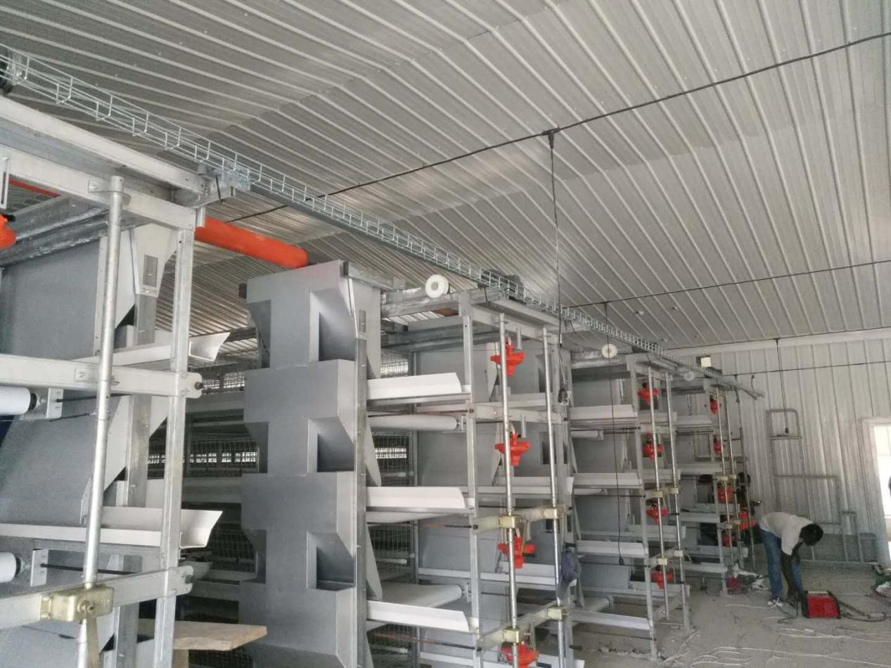 broiler cage equipment