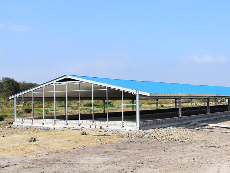 High Quality Livestock Farming House Broiler Chicken House