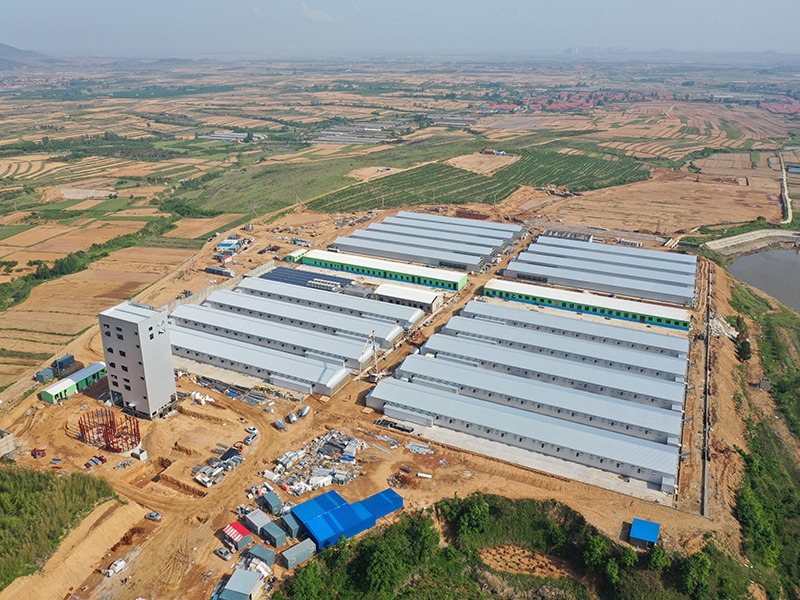 Livestock Farming House Poultry Farm