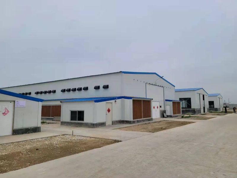 Hard Livestock Farming House Poultry Houses in China