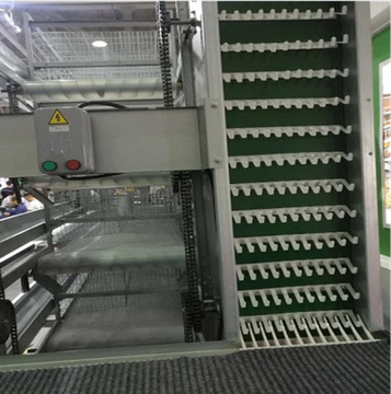 Long Span Prefab Laying Hens Breeding Equipment