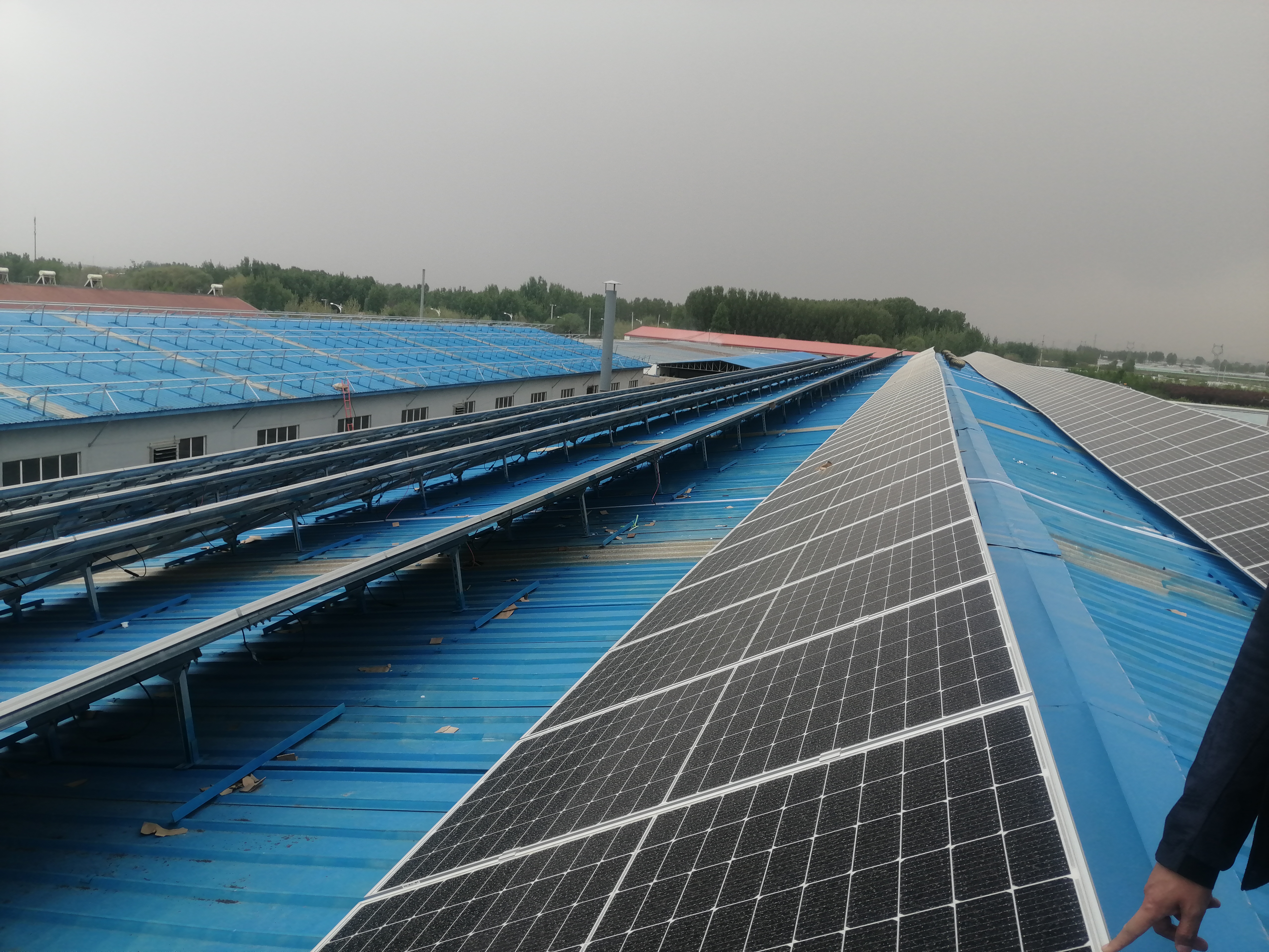 Environmental Popular Multifunctional Steel Structure Building Photovoltaic Plant 