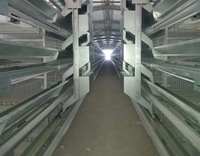 Type A Egg Breeding Cage Chicken Equipment