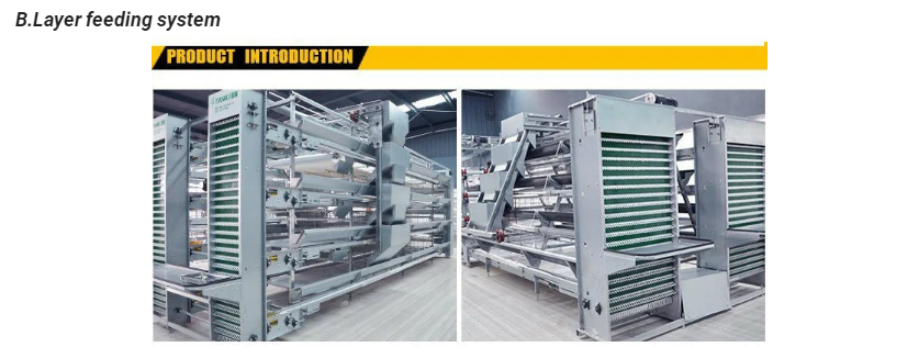 QQ图片20220602151002