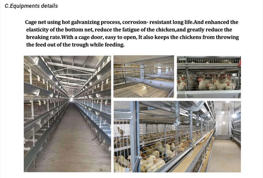 QQ图片20220602151147