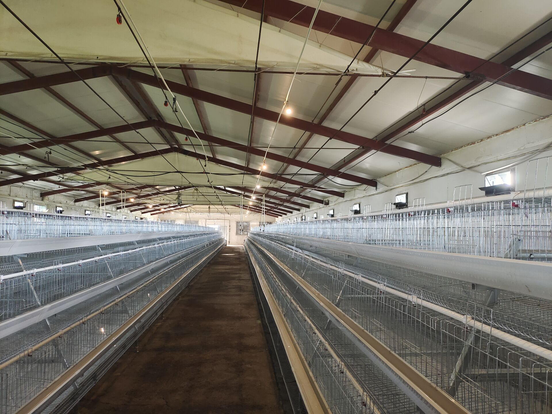 Prefabricated Chicken House Farm Project Broiler Cage