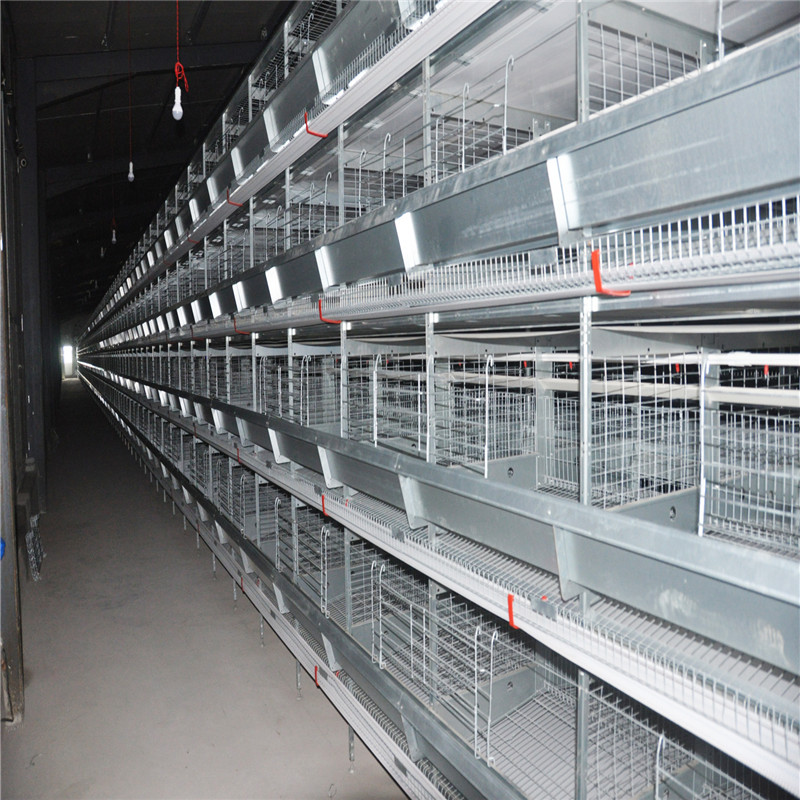 Rust resistant and durable Cage Egg Breeding