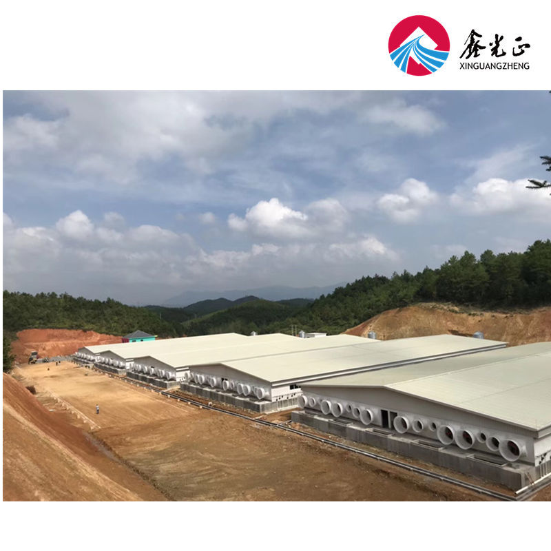 Automated Steel Structure Poultry House Breeding House