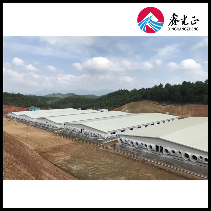 Automated Steel Structure Poultry House Breeding House