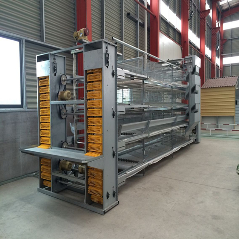 Electric Automatic Cages Laying Chicken Husbandry Equipment