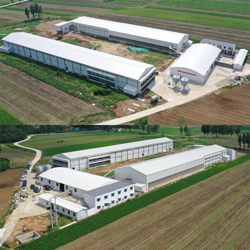 Factory Prefabricated Chicken Hatchery Incubator Steel Structure Workshop