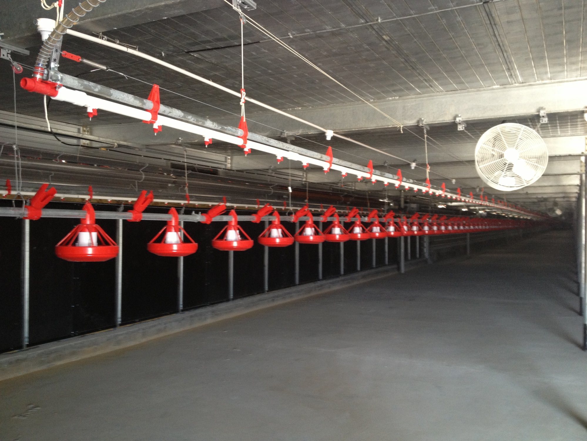 Double Floor Broiler Livestock Farming House Poulty House