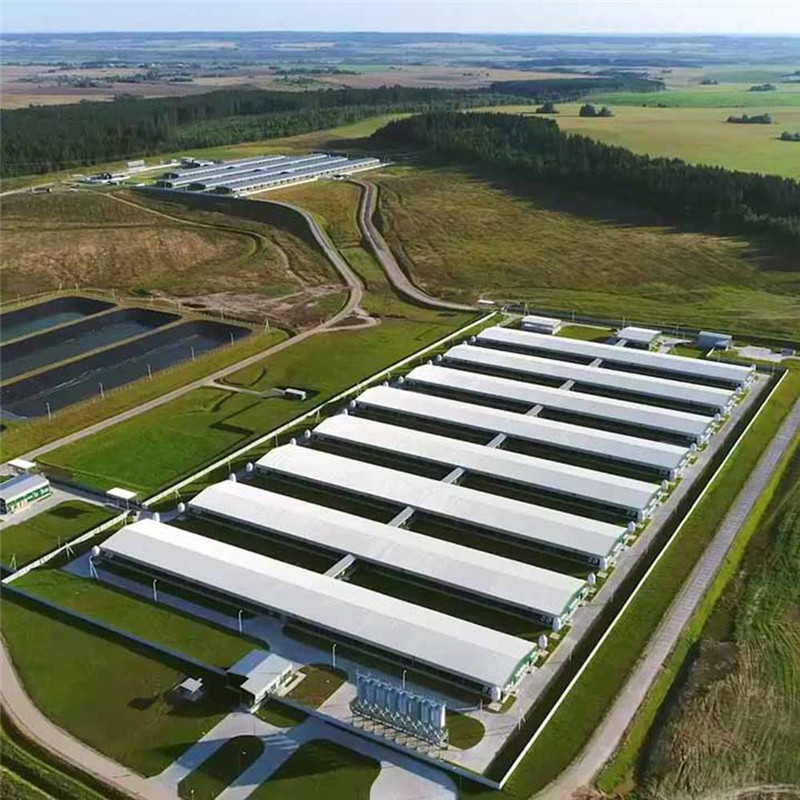 Steel Livestock Farming House