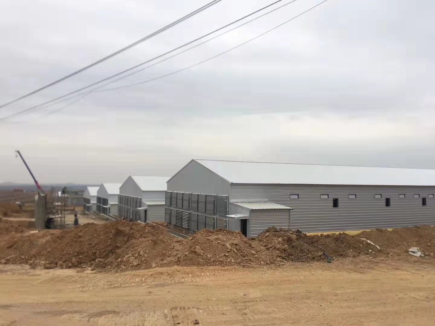 Livestock Farming House