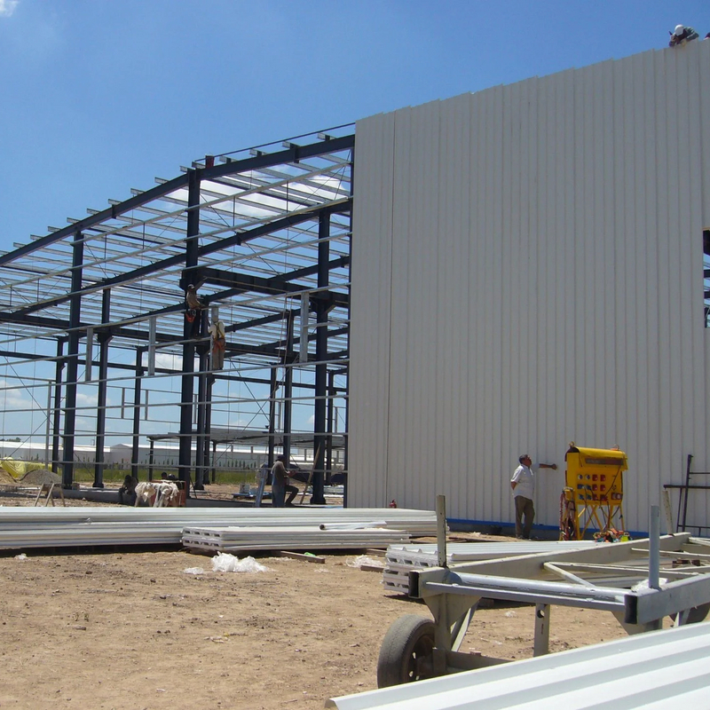 Quick Installation Steel Structure Warehouse Construction Building