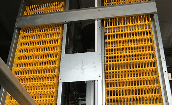 egg collection system