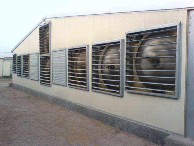 Pakistani Livestock Farming House Mechanized Equipment Chicken Coop