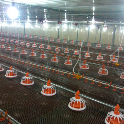 Factory Supply Broiler Poultry Farm Husbandry Equipment