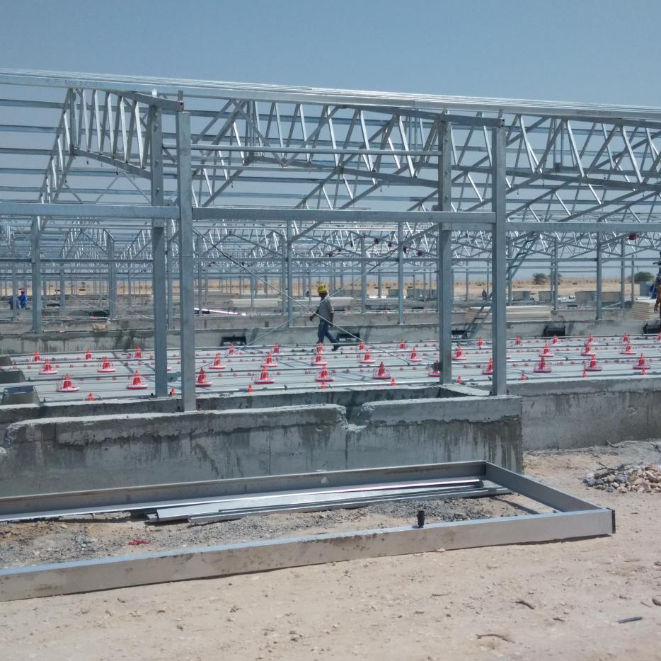 Durable Broiler Flat Raising Qatari Broiler Project