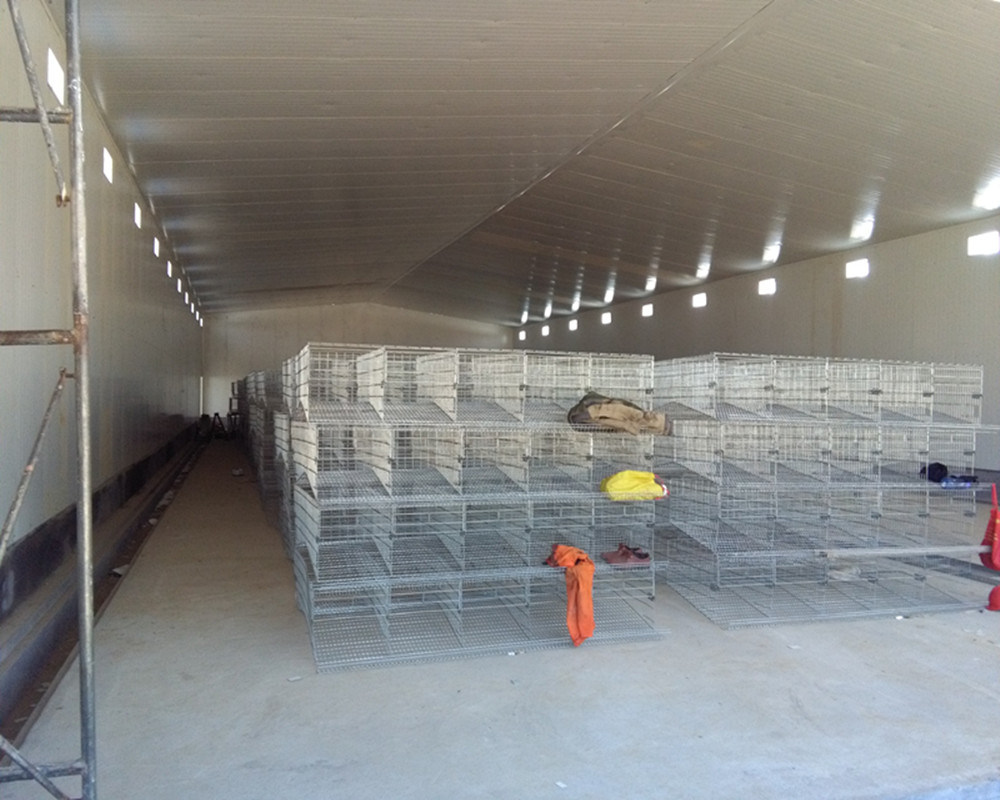 6-Storey High-Quality Cage Husbandry Equipment for Layer Chicken