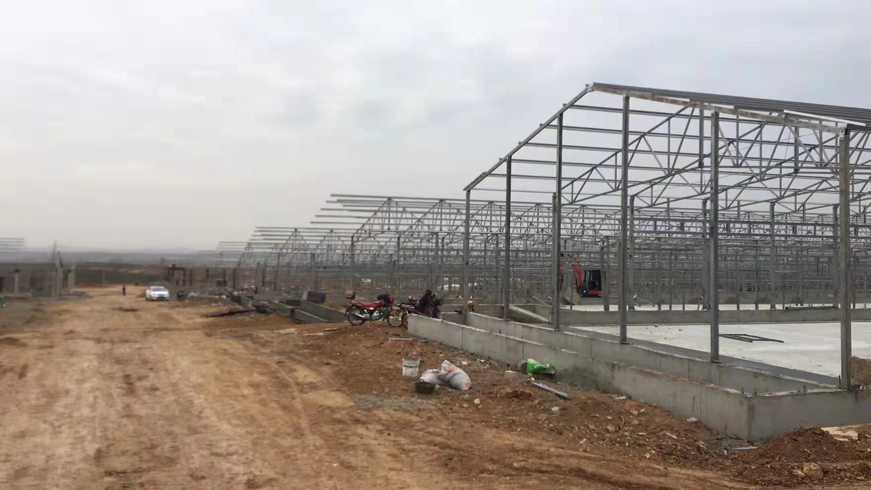 Steel Structure Livestock Farming House