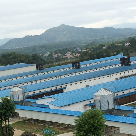 Prefab Steel Livestock Farming House with Control Room 