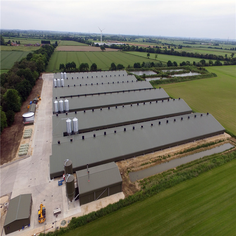 Chicken Farm with H Type Chicken Layer Cages