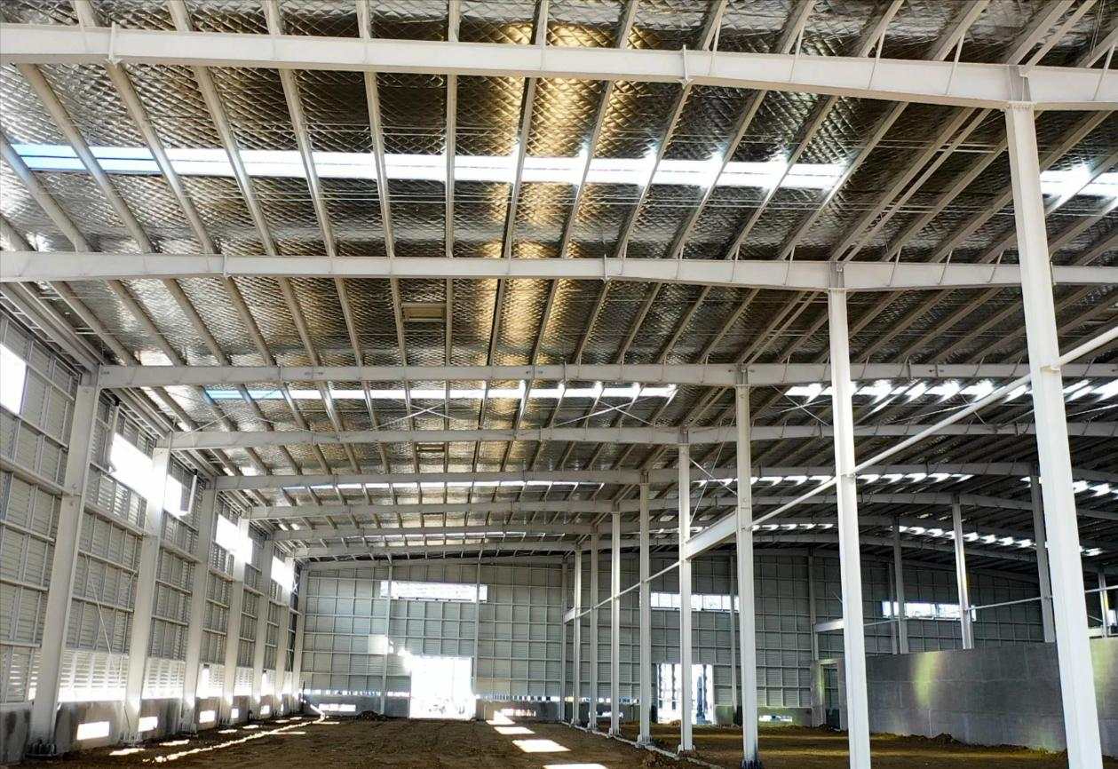 Steel Structure Factory