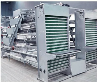 Automatic Cage Husbandry Equipment for Layers and Broilers 