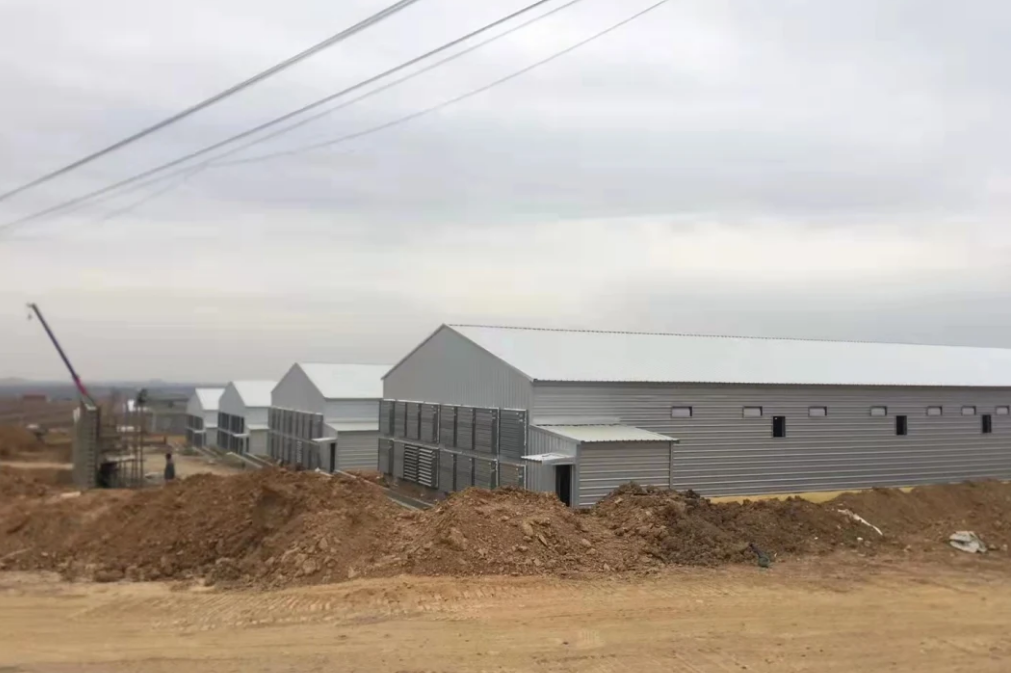 Livestock Farming House 