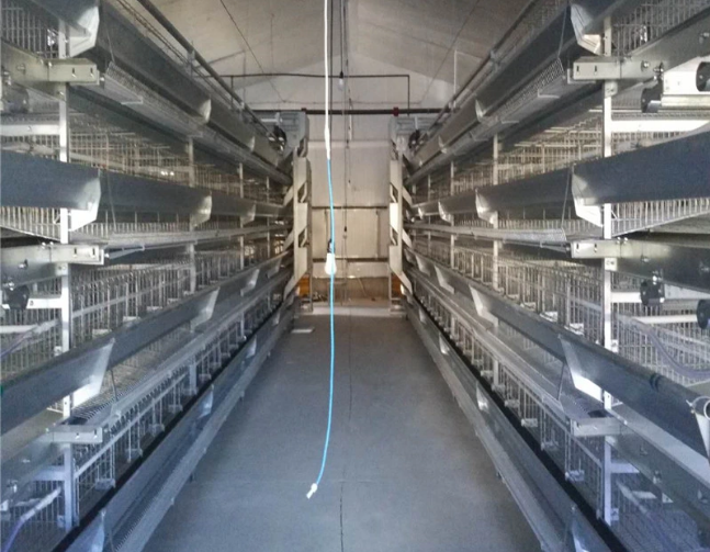 Type A Egg Breeding Cage Chicken Equipment