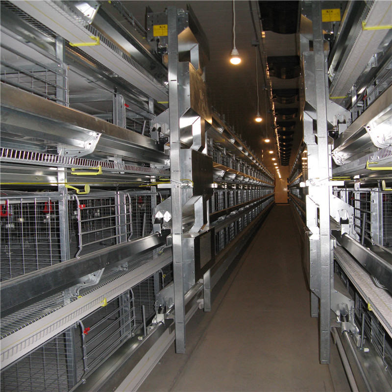 chicken-poultry-house (75)