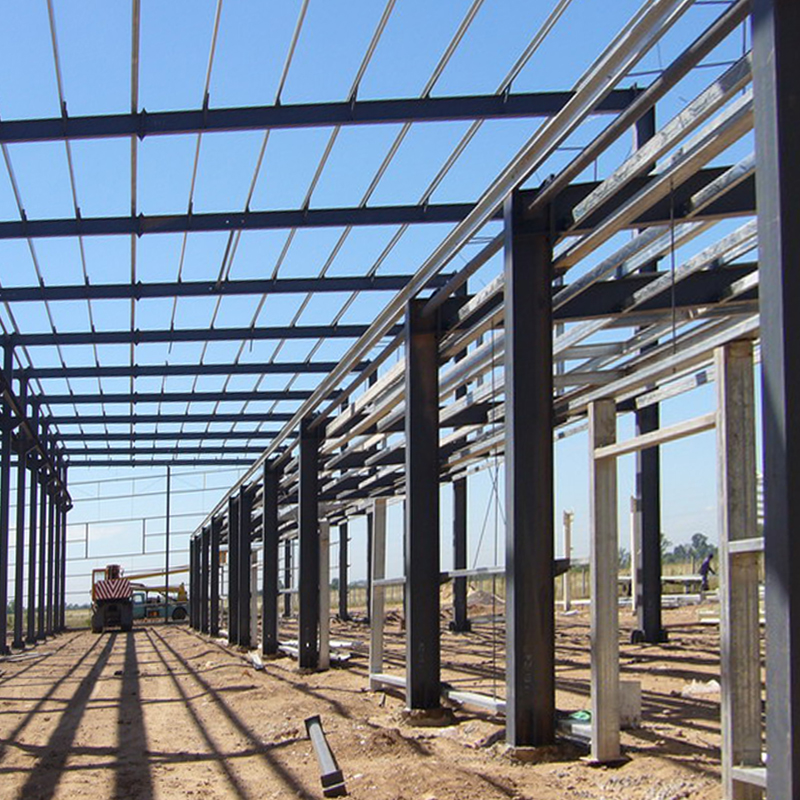 Prefabricated TV Steel Structure Workshop in Algerial 