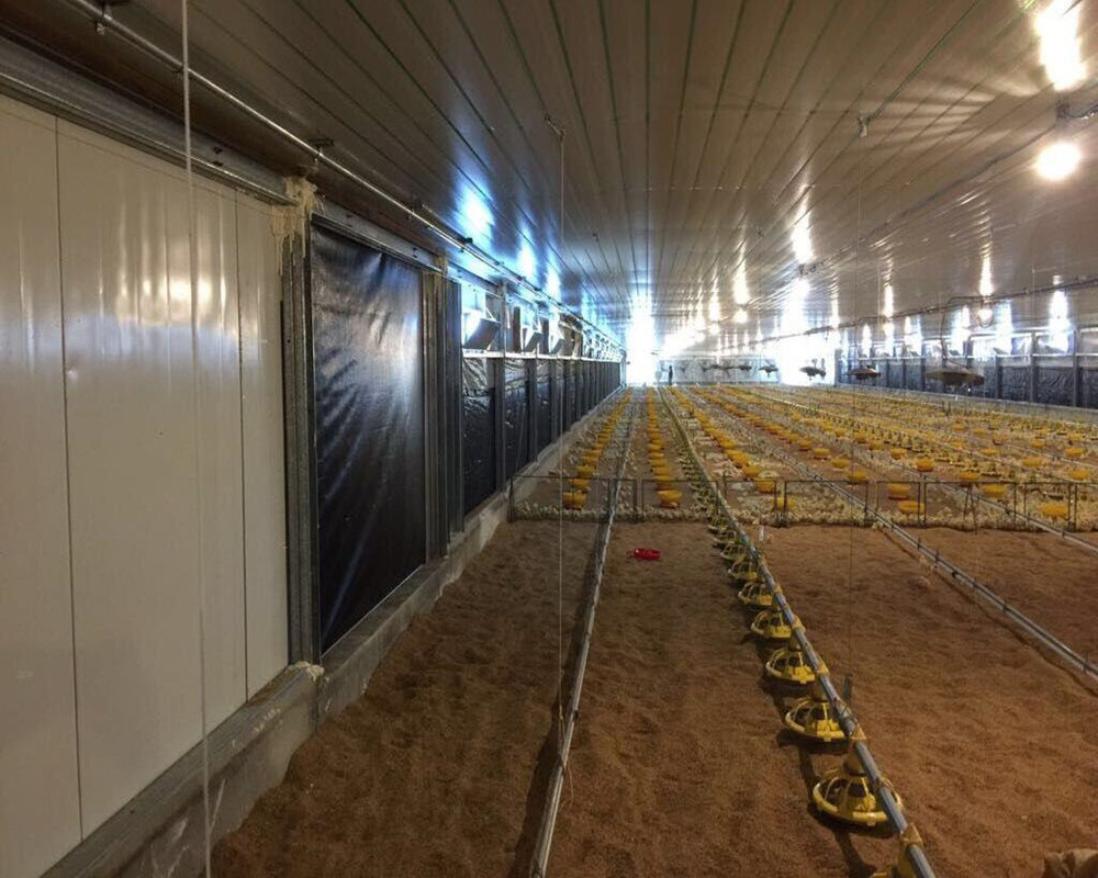 High-Quality Broiler Flat Raising Poultry Farm Equipment