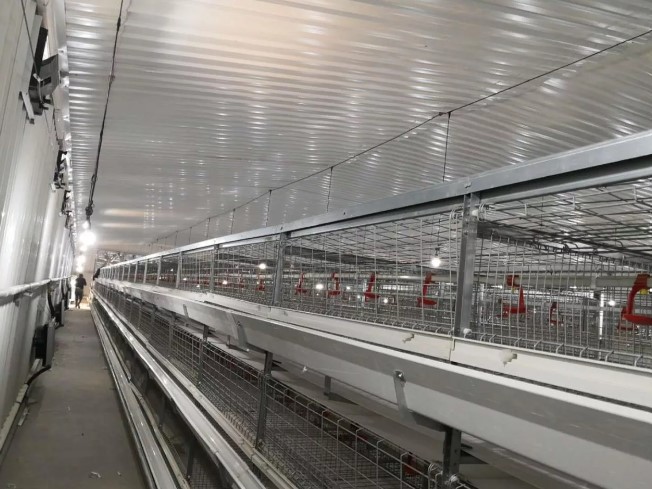 What do you need to do to get higher egg production?