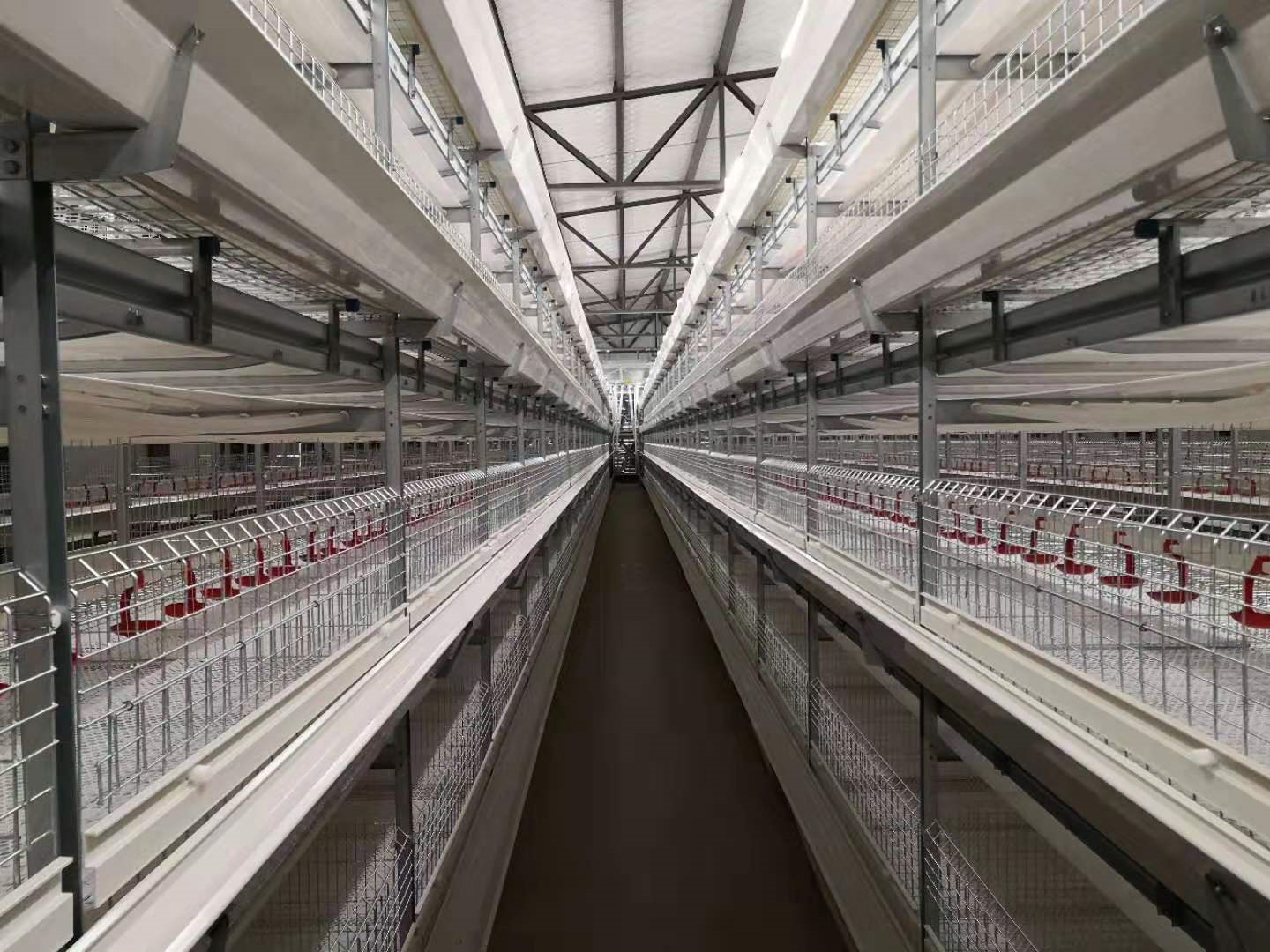 Popular Broiler Cage Duck Cage System