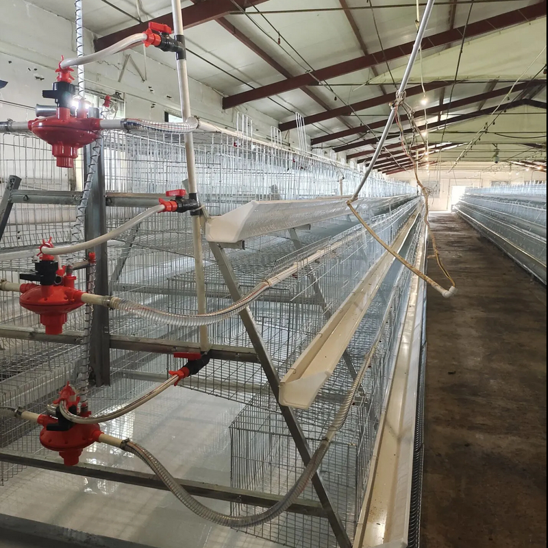 Type A Laying Hens Breeding Chicken Cage Equipment