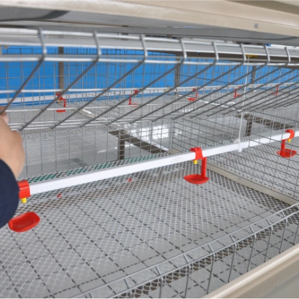 Type A Laying Hens Breeding Chicken Cage Equipment