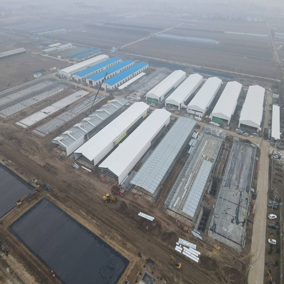 steel structure poultry house