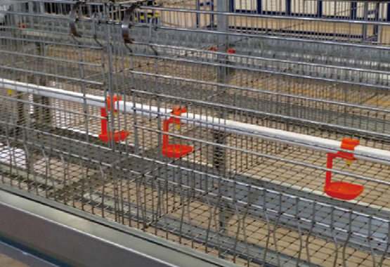 Environmental Monitoring of Laying Hens, Food, and Health Management Technology