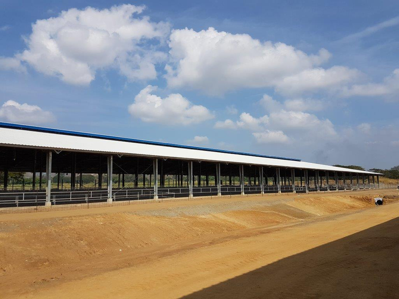 Livestock Farming House chicken Farm Poultry Building