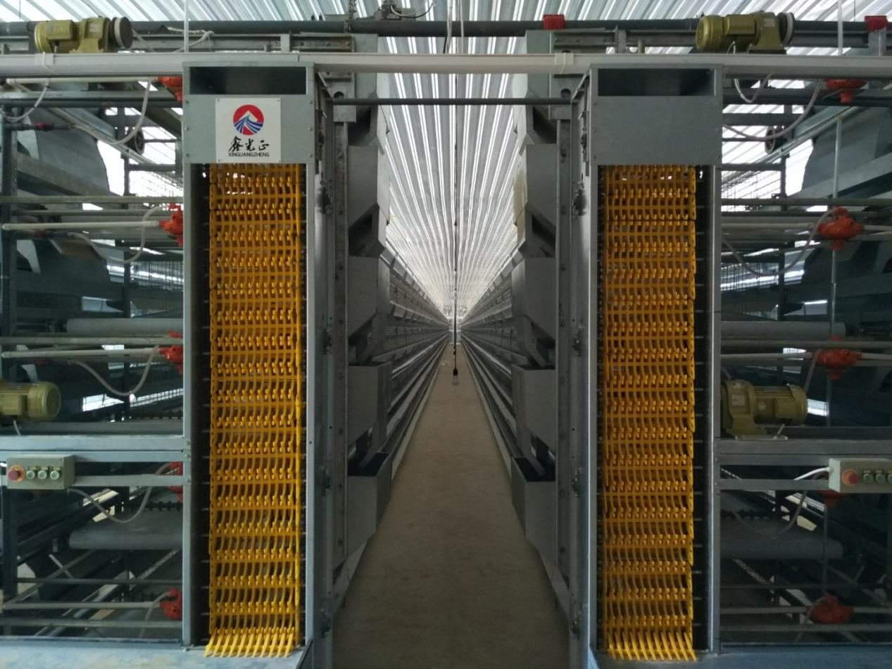 Cage Egg Breeding Equipment