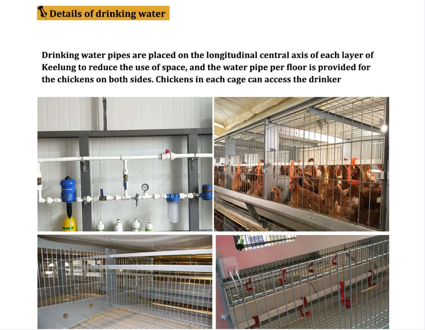 QQ图片20220602151408