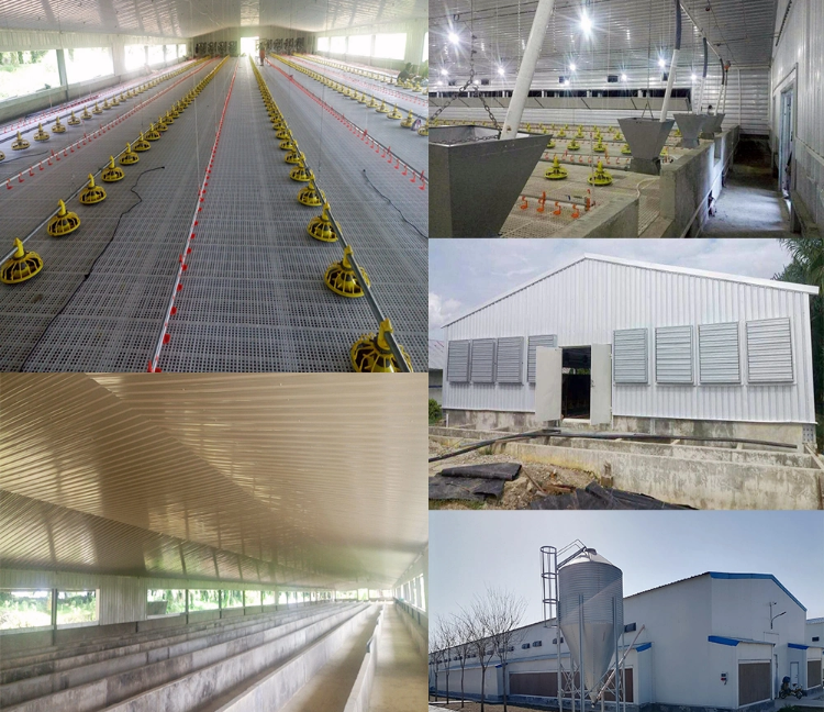 QQ图片20220528145828