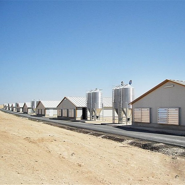 Prefabricated Steel Structure Livestock Farming House for Broiler