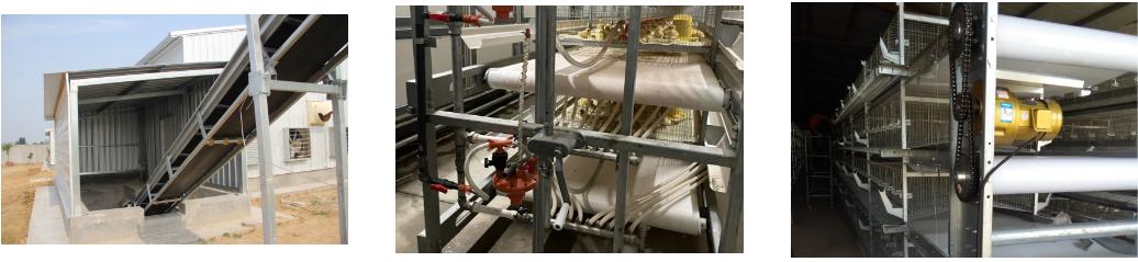 Manure cleaning system