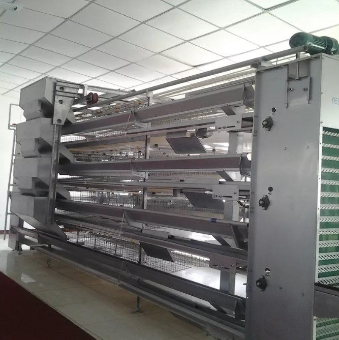 Our egg-laying chicken equipment can provide a good production process