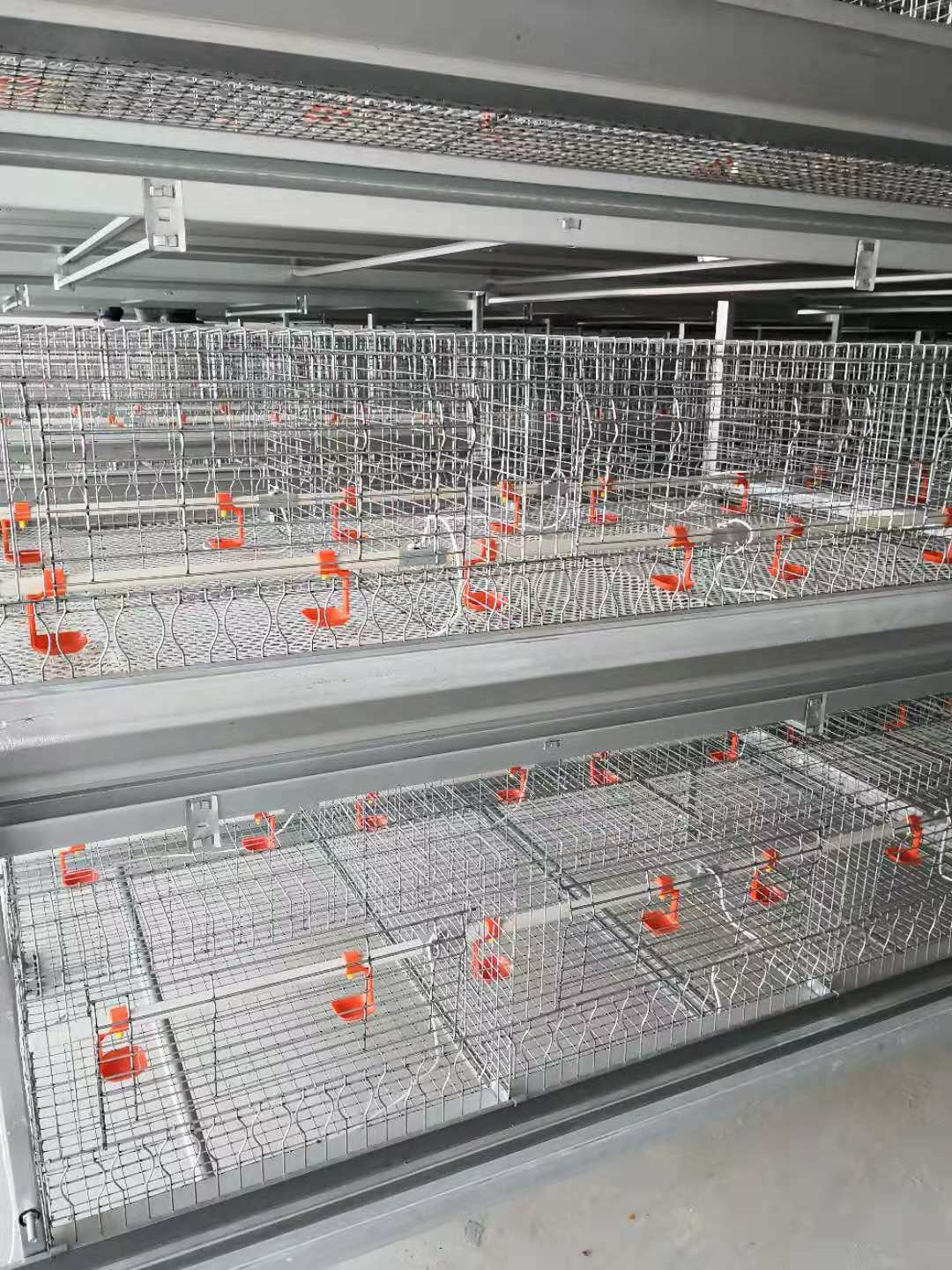 Broiler Cage Duck Cage Rearing Equipment